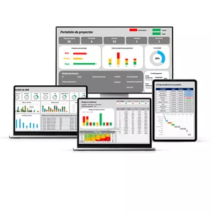 Imagen de portada para Curso online Dashboards de control de gestión de proyectos exitosos