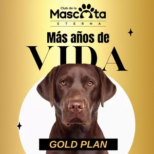 CLUB DE LA MASCOTA ETERNA - GOLD PLAN