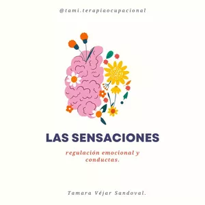 Imagen de portada para Ebook Sensaciones, regulación emocional y conductas