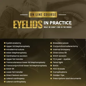 Main image of product EYELIDS IN PRACTICE: WHAT WE DON´T FIND IN THE BOOKS