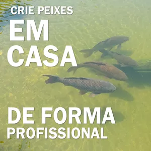 Imagem de capa para o Curso online CRIE PEIXES DE FORMASIMPLES E PROFISSIONAL