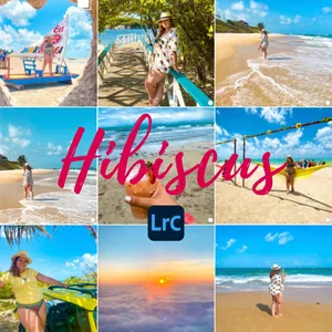 Imagem de capa para o Curso online PRESET HIBISCUS