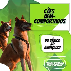 Imagem de capa para o Ebook Cães Bem-Comportados - Adestramento