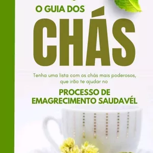 Cover image for Ebook Desafio 21D Slim