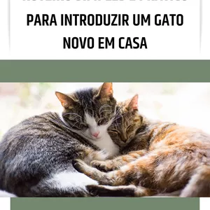 Imagem de capa para o Ebook Roteiro simples e prático para introduzir um novo gato em casa