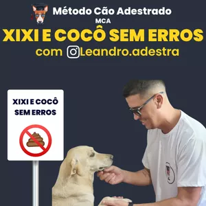 Imagem de capa para o Curso online [Acesso Vitalício ao Curso] -  Xixi e Cocô Sem Erros