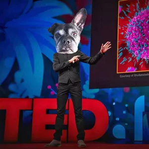 Imagen de portada para Curso online YAYO TALKS sobre perros senior