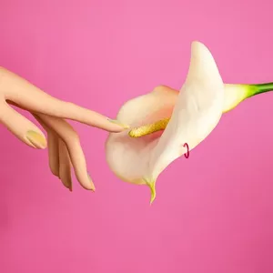 Imagem de capa para o Ebook Sexualidade Feminina Sagrada