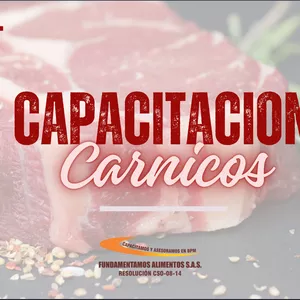 Imagen de portada para Curso online Capacitacion Carnicos