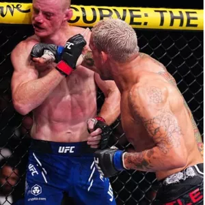 Imagen de portada para Curso online PACKS PROHIBIDOS