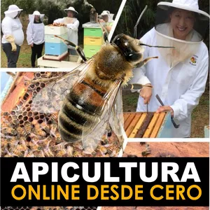 Imagen de portada para Curso online Apicultura Online Desde cero 