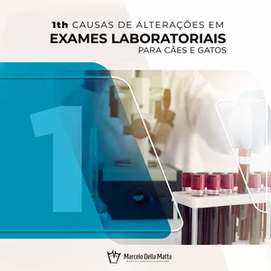 Imagem do curso 1th Ebook - Causas de Alterações em Exames Laboratoriais para Cães e Gatos