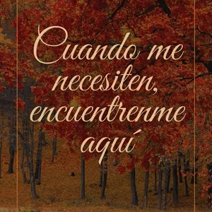 Imagen de portada para Ebook Cuando me necesiten, encuéntrenme aquí