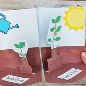 Imagem de capa para o Ebook Vida Vegetal para Imprimir