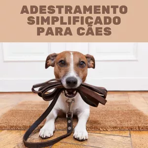 Imagem de capa para o Ebook Adestramento simplificado para cães