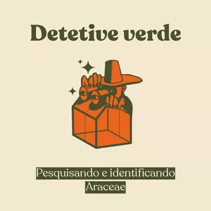 Imagem de capa para o Curso online Detetive verde - Pesquisando e identificando Araceae