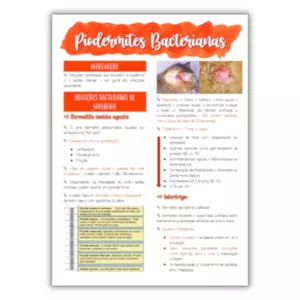 Imagem de capa para o Ebook Resumos de Medicina Veterinária - Clínica de Pequenos 1 