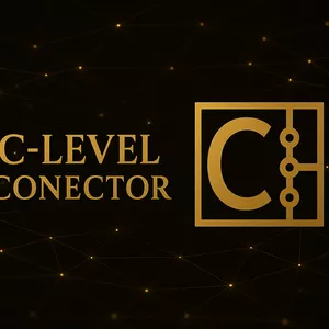 Imagem de capa para o Curso online Programa acelerador - C-Level Conector