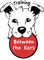 TBTE Training Between The Ears