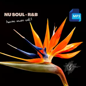 Cover image for Online course SOUL - R&B SESSION HOUSE 