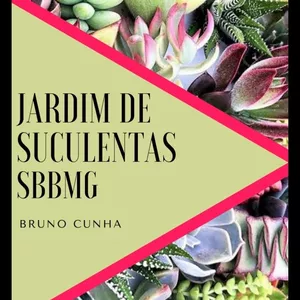 Imagem de capa para o Ebook Ebook Como Cuidar de Suculentas