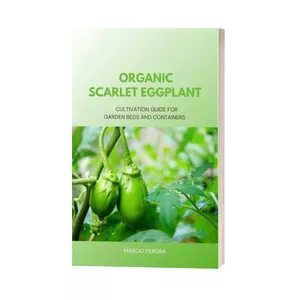 Cover image for Ebook Organic Scarlet Eggplant