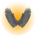 The Confidence Academy logo
