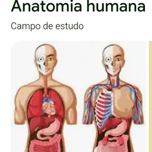Imagem de capa para o Curso online Curso de anatomia humana básica 