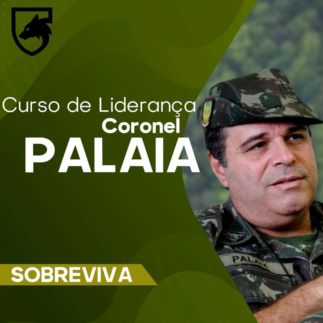 CURSO DE LIDERANÇA