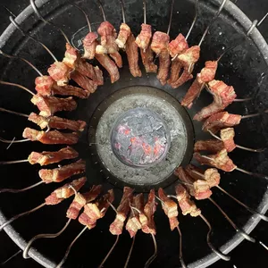 Imagen de portada para Curso online Asados al barril