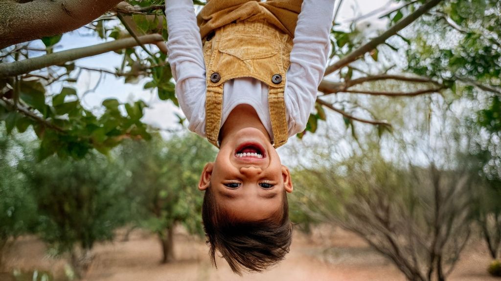 Mentoria Natureza e Educação: um caminho profissional