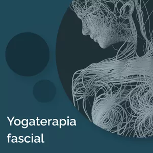 Imagem de Yoga terapia Fascial criado por Bruno Bernardes na hotmart