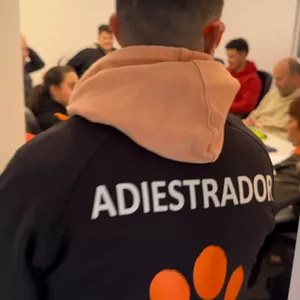 Imagen de portada para Curso online Programa Adiestramiento y Educación Canina