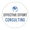 Effective Effort Consulting 