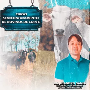 Imagem de capa para o Curso online SEMICONFINAMENTO DE BOVINOS DE CORTE 