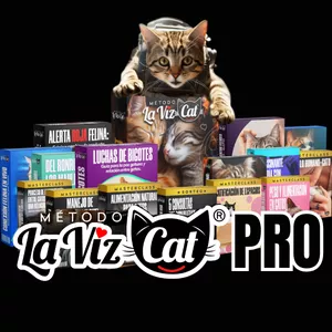 Imagen de portada para Curso online Método Lavizcat PRO