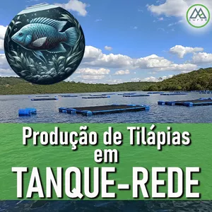 Imagem de capa para o Curso online Criação de Tilápia em Tanque rede
