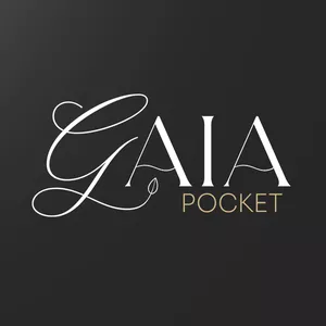 Imagem de capa para o Curso online Mentoria GAIA Pocket