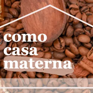 Imagem de capa para o Ebook Como casa materna