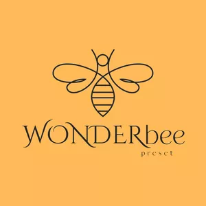 Imagem do curso Pack de Preset's - Edite suas fotos de forma fácil, rápida e simples | WonderBee Preset