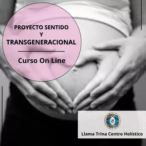 Imagen de portada para Curso online Proyecto Sentido y Transgeneracional