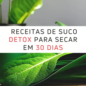 Imagem de capa para o Ebook Receitas de suco detox para secar em 30 dias
