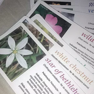 Imagem de capa para o Ebook Laminas 38 Florais de Bach