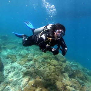 Imagem de capa para o Curso online Curso Open Water Scuba Diver - Básico