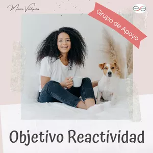 Imagen de portada para Curso online Grupo de Apoyo "Objetivo Reactividad"