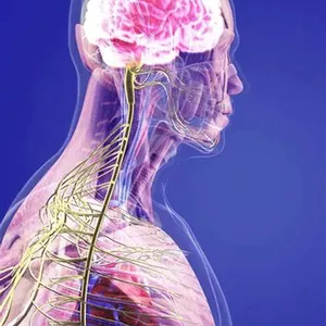 Imagen de portada para Ebook  Práctica de fisiología