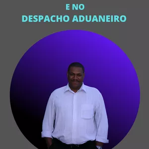 Imagem de capa para o Ebook PROCEDIMENTOS APLICADOS NO COMÉRCIO EXTERIOR E NO DESPACHO ADUANEIRO