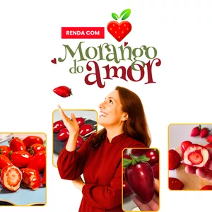 Imagem do curso E-book Renda com Morango do Amor