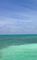 Betta Belize It!