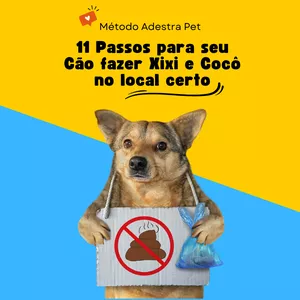 Imagem de capa para o Curso online [AULAS + E-BOOK] GUIA DE 11 PASSOS PARA O XIXI E COCÔ NO LOCAL CERTO